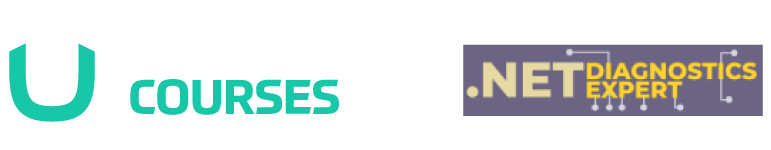 .NET Diagnostics Expert - checkout page