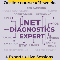.NET Diagnostics Expert