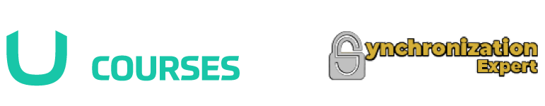 Synchronization Expert - checkout page
